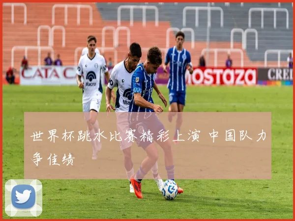 世界杯跳水比赛精彩上演 中国队力争佳绩